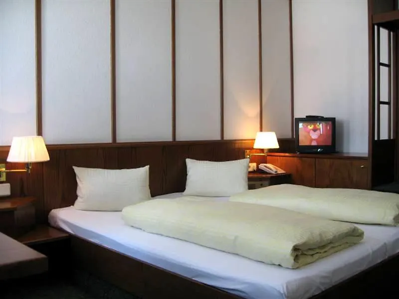 Hotel Bon Alpina İnnsbruck 3*,